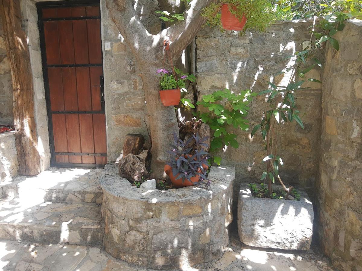 Sea-Side Old Stone Villa With A Private Garden Budva Exterior photo
